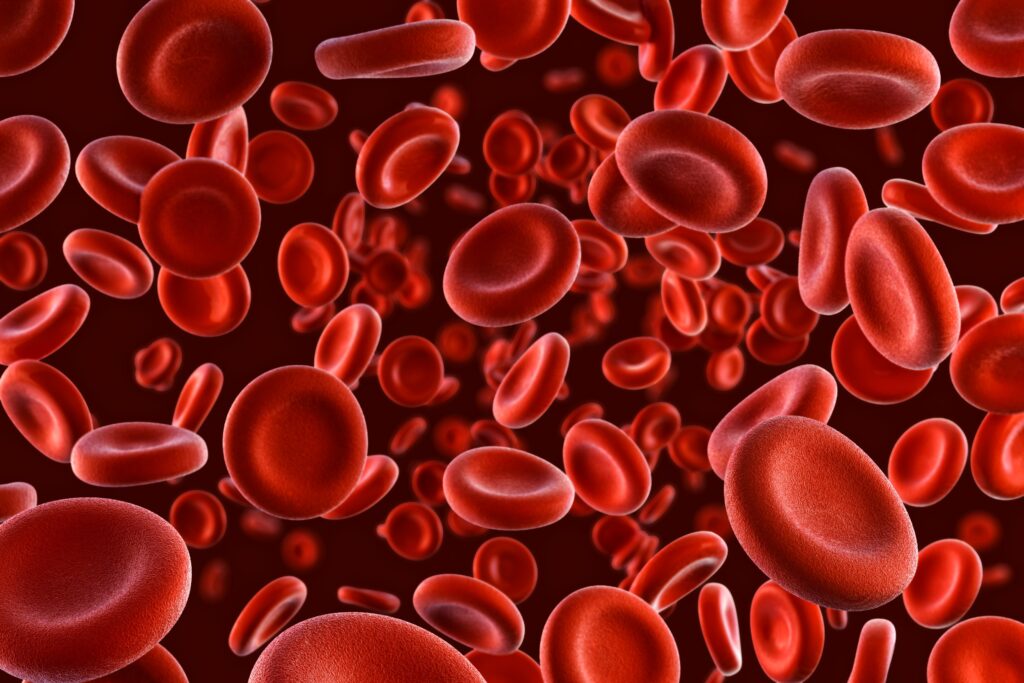 blood cell