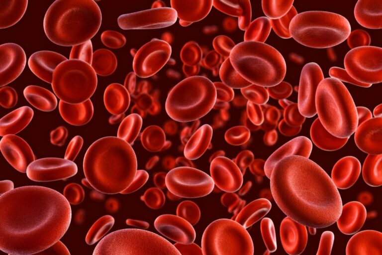 blood cell