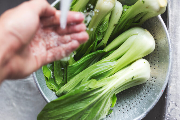 បន្លែឆៅរាករូស