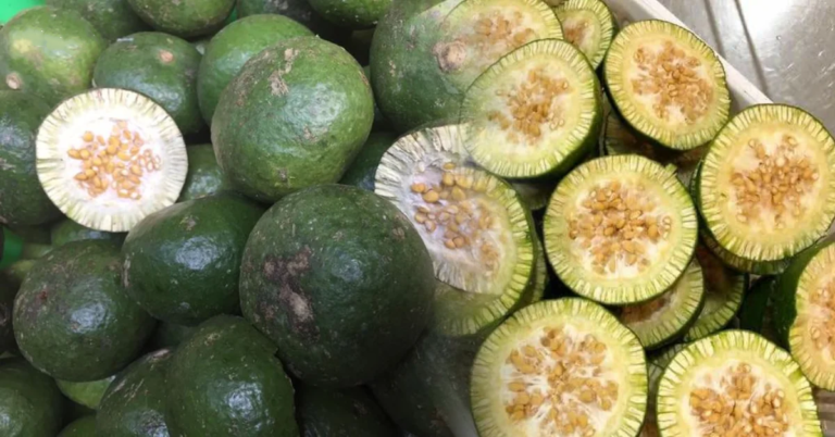 ក្រសាំង