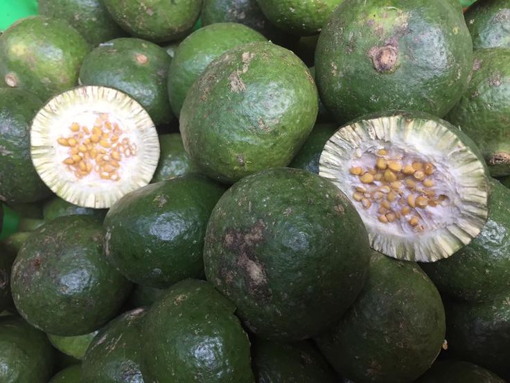 ក្រសាំង